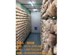 科技智能化蘑菇种植箱房图2