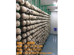 模块化食用菌种植技术图1