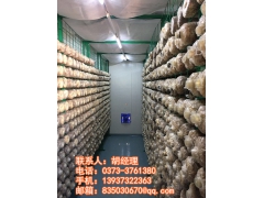 模块化食用菌种植技术图2