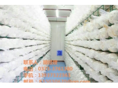 模块化食用菌种植技术图3