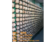 模块化无季节限制食用菌生产箱房图1