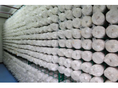 快速生产蘑菇箱房图2