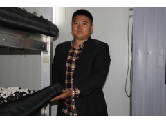 双孢菇尼龙网厂家直销图1