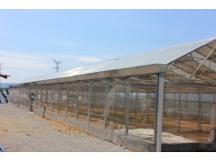 光伏大棚，太阳能大棚，种植大棚图1