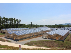 光伏大棚，太阳能大棚，种植大棚图2