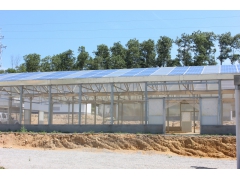 光伏大棚，太阳能大棚，种植大棚图3