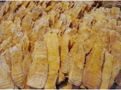 中小型菊花烘干房 竹笋除湿烘干机厂家 果蔬脱水烘干机图3