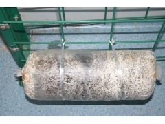 科技智能化蘑菇种植箱房图1