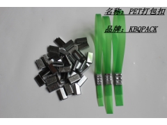 深圳PET打包扣 包装扣 捆包扣图3