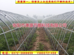 澳源春秋大棚建设，花卉种植大棚骨架图2