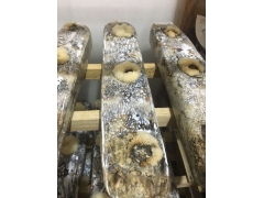 食用菌除虫剂 食用菌生长促进剂 物理除虫不含农药残留图1