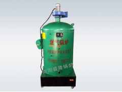 厂家供应新型燃气灭菌专用锅炉图1