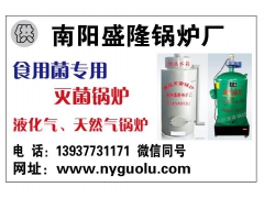 厂家供应新型燃气灭菌专用锅炉图2