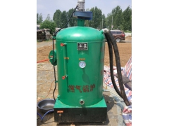 厂家供应天然气 灭菌专用锅炉图2