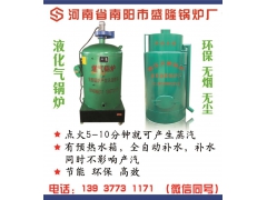 燃气灭菌锅炉图1