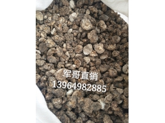 猴脑菇 猴脑菌 猴脑菌 核桃菌 核桃菌菇 猴脑菌图2