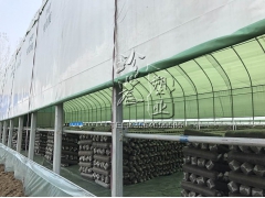 绿白膜pep利得膜香菇大棚专用食用菌专用膜中草药棚膜图1