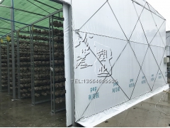 绿白膜pep利得膜香菇大棚专用食用菌专用膜中草药棚膜图2