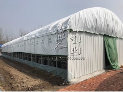 绿白膜pep利得膜香菇大棚专用食用菌绿白专用膜中草药棚膜图1