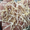 西域藏灵菇 厂家供货 西域藏灵菇 干货 长期西域藏灵菇