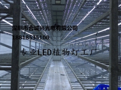 LED抑制灯图1