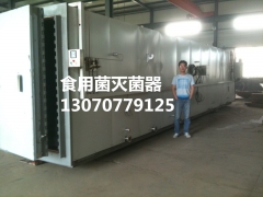 香菇灭菌器 木耳灭菌器转用设备食用菌灭菌器图2