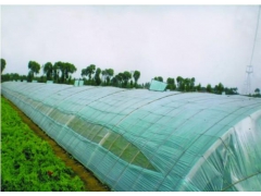 人参膜+耐老化人参膜+人参大棚膜【天瑞】您的正确选择！图1