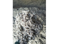 棉籽壳,棉渣,废棉,棉料下脚料,棉籽皮,不孕籽,中壳中绒等图1