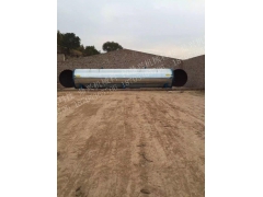 大型双开门食用菌灭菌器图1