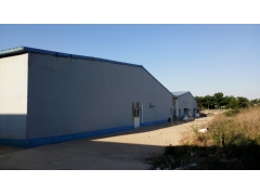 食用菌厂房求合作图1