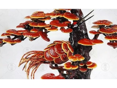 灵芝盆景生产制造基地图1