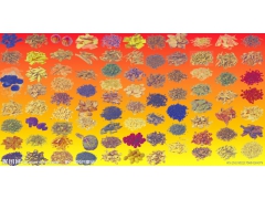 四川内江羊肚菌烘干机生产厂家 简阳羊肚菌烘干设备图2