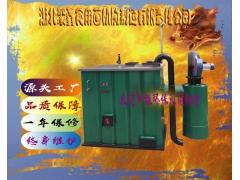 反烧节能环保灭菌锅炉图1