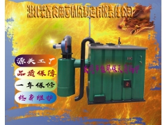 反烧节能环保灭菌锅炉图2