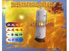 立式常压灭菌锅炉80型图1