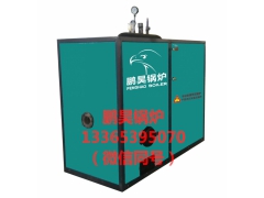 河南三门峡食用菌常压灭菌锅炉图1