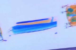 26公斤新鮮野生靈芝存疫情風(fēng)險 現(xiàn)已被機場扣留送去鑒定 ()
