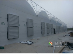 食用菌种植连栋大棚 温室大棚骨架加工厂河南郑州图1