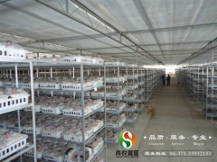 食用菌种植连栋大棚 温室大棚骨架加工厂河南郑州图3