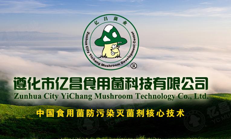 QQ截图20180131135214
