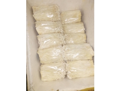 供应红白金针菇 价格面议图1