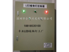 LED抑制灯图2