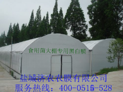 食用菌专用黑白膜图1