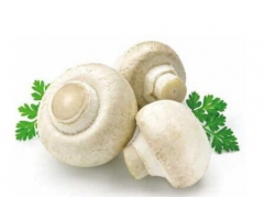 双孢菇品牌 口蘑生产厂家 白蘑菇厂家大批生产图2