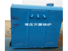 佳润机械 食用菌灭菌锅炉 蘑菇菌袋卧式常压锅炉图2