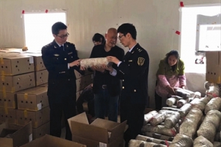成都食用菌種首次出口歐盟 將在歐洲出菇銷售 ()