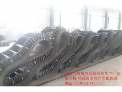 大倾角挡边带   山东大倾角挡边带价格图2