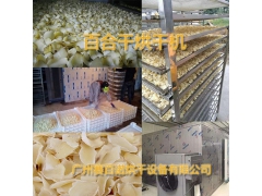 浙江百合干烘干机、高效百合烘干房图1