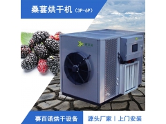 空气能桑葚烘干机报价 桑葚烘干房出售图1