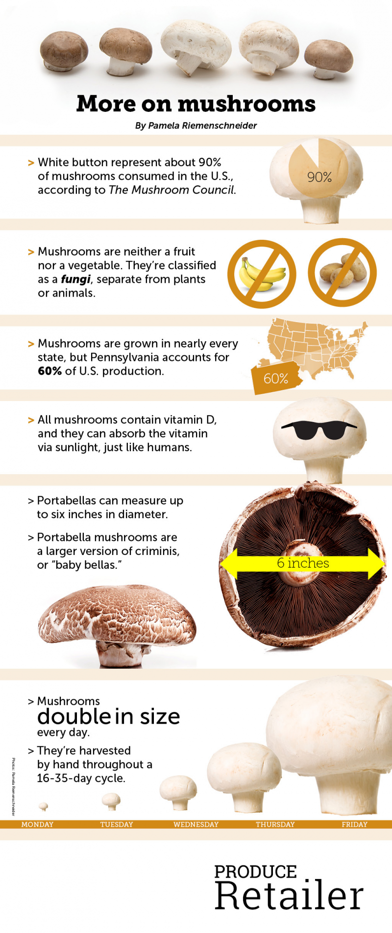 mushrooms-did-you-know